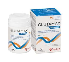 Candioli Glutamax Advanced Nahrungsergänzung für Hunde bei Leberinsuffizienz 30 Tabletten – Bild 1 von 1