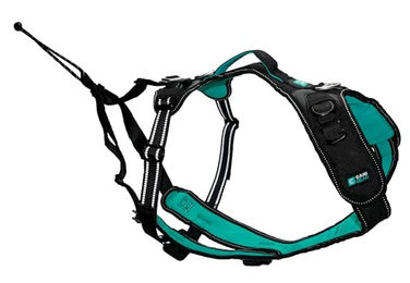 Cani Gear Hundegeschirr Symbioz Sportgeschirr mit Neoprenfutter Schwarz/Türkis Größe S – Bild 1 von 8