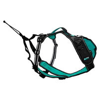 Produktbild von Cani Gear Hundegeschirr Symbioz Sportgeschirr mit Neoprenfutter Schwarz/Türkis Größe S