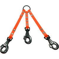 Produktbild von Canihunt Extreme New 2024 Hund Doppelleine aus Biothane in Orange mit 2 Karabinern 200 cm