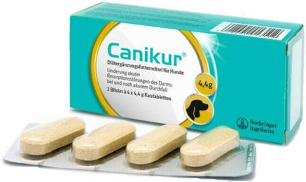 Canikur Kautabletten für Hunde zur Unterstützung der Magen-Darm-Funktion bei Durchfall 12 Stück – Bild 1 von 4