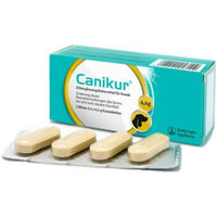 Produktbild von Canikur Kautabletten für Hunde zur Unterstützung der Magen-Darm-Funktion bei Durchfall 12 Stück