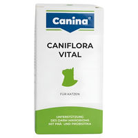 Produktbild von Canina Caniflora Vital Pulver für Katzen zur Unterstützung von Magen-Darm und Immunsystem 60 g