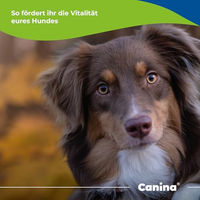 Produktbild von Canina Knoblauch Pulver für Hunde 700 g - 700 g