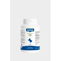 Produktbild von Canina PETVITAL GAG Gelenk-Supplement Pulver für Hunde aller Altersstufen 200g - 200 g