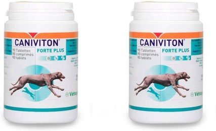 Caniviton FORTE PLUS Gelenk-Supplement Tabletten für Hunde hypoallergen – Bild 1 von 1