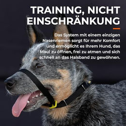 Canny Collar Anti-Zug Hundehalfter Schwarz Größe 2 mit Metallbeschlägen – Bild 1 von 4