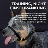 Produktbild von Canny Collar Erziehungshalsband für Hunde Schwarz Größe 4 (38-43 cm)