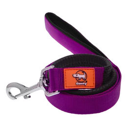 Canny Connect Hundeleine Lila 25 mm Breite 120 cm Länge für mittelgroße bis große Hunde - 1 Stk. – Bild 1 von 10