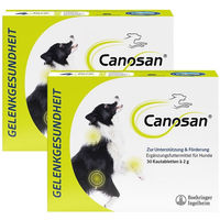Produktbild von Canosan Gonex Kautabletten für die Gelenkgesundheit bei Hunden mit Grünlippmuschel-Extrakt hypoallergen