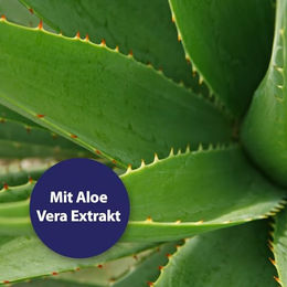 Canosept Augenpflege-Pads für Hunde mit Aloe Vera Extrakt 100 Stück - 100 Stk. – Bild 1 von 13