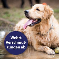 Produktbild von Canosept Fellpflegespray Entfilzungsspray für Hunde 250 ml - 250 ml