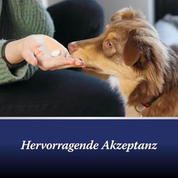 Canosept Gelenktabletten für Hunde mit Grünlippmuschel, Glucosamin und Kollagen 80 Stück – Bild 1 von 7