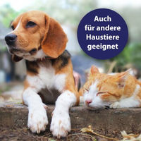 Produktbild von Canosept Hautpflegespray für Hunde 250 ml - 250 ml