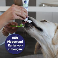 Produktbild von Canosept Zahnpasta Dental Gel für Hunde ohne Zucker 100g - 100 g