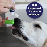 Produktbild von Canosept Zahnpflege Finger-Bürsten für Hunde aus Silikon Grün 3er Pack