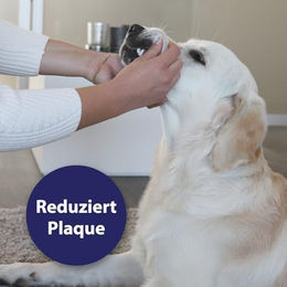 Canosept Zahnpflege Finger-Pads für Hunde und Welpen 50 Stück - 50 Stk. – Bild 1 von 13