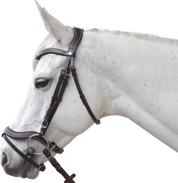 Produktbild von Canter Baloubet Anatomisch geformte Reitzäume aus Leder für Ponys in Schwarz