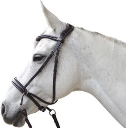 Produktbild von Canter Bitless Evolution Leder Reittrense für Pferde in Braun oder Schwarz