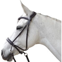 Produktbild von Canter Bitless Evolution Leder Reittrense für Pferde Vollblut