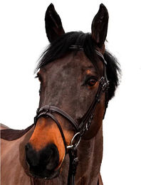 Produktbild von Canter Club Leder Reittrense für Pferde Braun Pony
