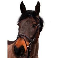 Produktbild von Canter Club Leder Reittrense für Ponys in Schwarz oder Braun