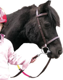 Canter Club Zaumzeug für Shettys aus Stoff in Braun – Bild 1 von 1