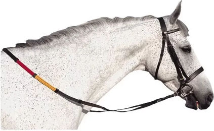 Canter Club Zaumzeug Shetty Schwarz aus Stoff – Bild 1 von 1