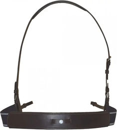 Canter Elastische Bricole aus Leder für Pferde in Schwarz oder Braun – Bild 1 von 1