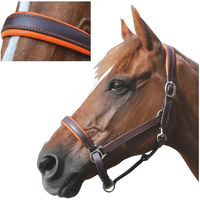 Produktbild von Canter Gepolstertes Lederhalfter für Ponys in Braun