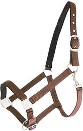 Canter Halfter – Bild 1 von 1