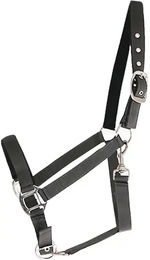 Produktbild von Canter Halfter aus Nylon für Warmblut in Grau oder Schwarz