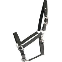 Produktbild von Canter Halfter aus Nylon für Warmblut in Grau oder Schwarz