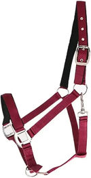 Produktbild von Canter Halfter aus Nylon für Warmblut in Rot