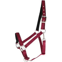 Produktbild von Canter Halfter aus Nylon für Warmblut in Rot