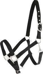 Produktbild von Canter Halfter aus Nylon für Warmblut in Schwarz