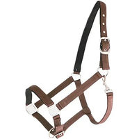 Produktbild von Canter Halfter aus Nylon in Braun