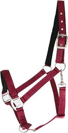 Canter Halfter – Bild 1 von 1