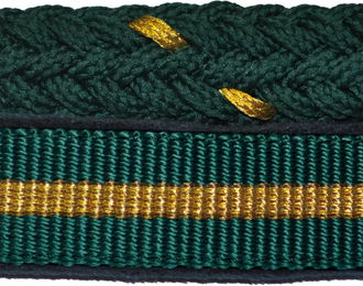 Produktbild von Canter Halfter und Longiergurt Set aus Nylon in Grün für Pferde