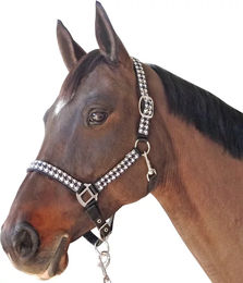 Produktbild von Canter Halfter und Longiergurt Set Pied De Poule aus Nylon für Pferde