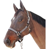 Produktbild von Canter Halfter und Longiergurt Set Pied De Poule aus Nylon für Pferde
