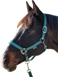 Canter Halfter und Stricke aus Nylon in Silber und Grün – Bild 1 von 1