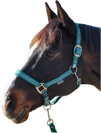 Canter Halfter und Stricke aus Nylon in Silber und Grün für Ponys – Bild 1 von 1
