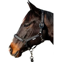 Produktbild von Canter Halfter und Stricke Longe Epsealon Schwarz