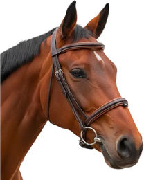 Canter Komplettzügel mit Halfter 1/2 Rund aus Leder in Braun für Ponys – Bild 1 von 1