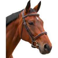 Produktbild von Canter Komplettzügel mit Halfter 1/2 Rund aus Leder in Braun für Ponys