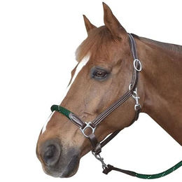 Canter Lederhalfter für Pferde mit Seil – Bild 1 von 1
