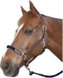 Produktbild von Canter Lederhalfter für Warmblut in Braun mit Silberbeschlag