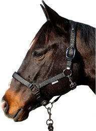 Produktbild von Canter Longe Epsealon Halfter und Stricke Schwarz für Pony
