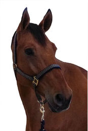 Produktbild von Canter Longe Reiten Schockemöehle Panic Halfter und Stricke Blau